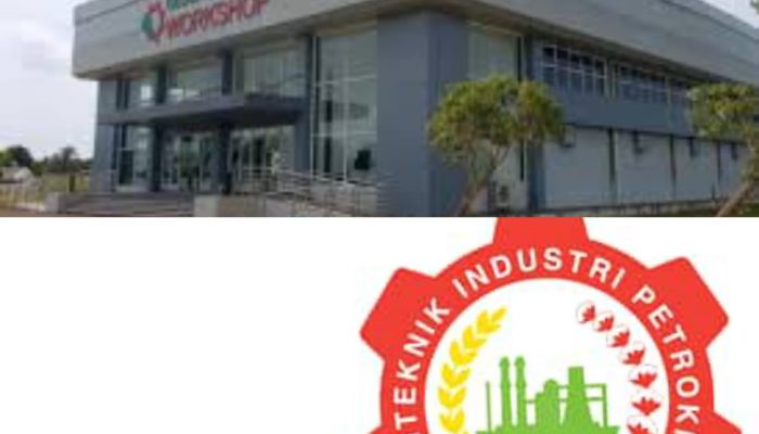 Mau Kuliah Gratis?. Kamu Tamatan SMA/SMK Ayo Daftar Kuliah, Cek Syaratnya