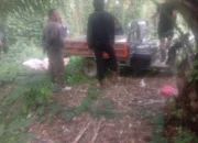 Manager Kebun PTPN IV Marihat Diduga Diamkan Kasus pencurian pupuk milik kebun dijual bebas ke masyarakat